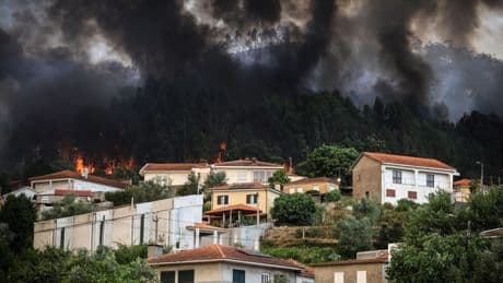 Waldbrandgefahr: Wälder in Portugal zum Sperrgebiet erklärt
