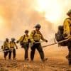 Waldbrand an der US-Westküste: Größtes Feuer des Jahres breitet sich in Kalifornien aus