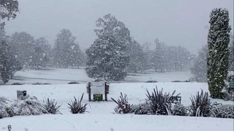 New South Wales: Australier genießen seltenen Schneefall