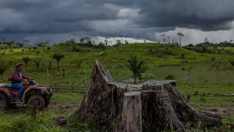 Poor Amazon Rains Linked to Brazil Deforestation