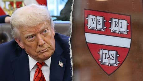 Harvard sues Trump administration over termination of student visa program