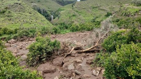 As many as 1,000 killed in Sudan landslide