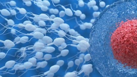 Más de la mitad del semen contiene microplásticos: un estudio halla trazas de residuos en hasta el 70% de los fluidos reproductivos