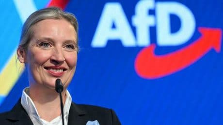 Cosa vuol dire Afd pericolo «per la democrazia»? Sarà esclusa dalle elezioni? Sei domande (e risposte) chiave