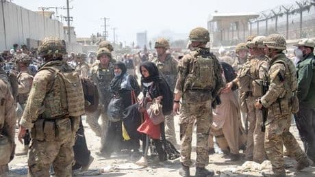 ROS WYNNE JONES: 'Every Afghan hero deserves a UK passport. This country has failed them'