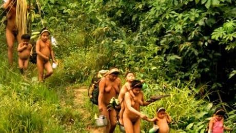 Brasilien: Hinweise auf illegale Missionierung von »unkontaktierten Völkern«