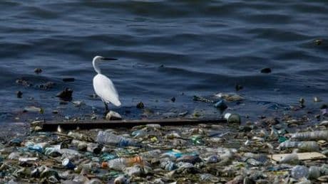 Plastikmüll-Abkommen gescheitert: Die Lobby gewinnt, die ganze Welt verliert