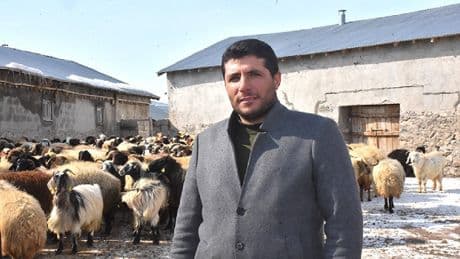 Veteriner tavsiyesi etti hayatı değişti! Kuzu sayısı 2 katına ulaştı: Yılda 2 kez yavru veriyor