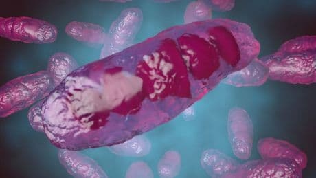 Medizin: Wie es den ersten Drei-Eltern-Babys geht