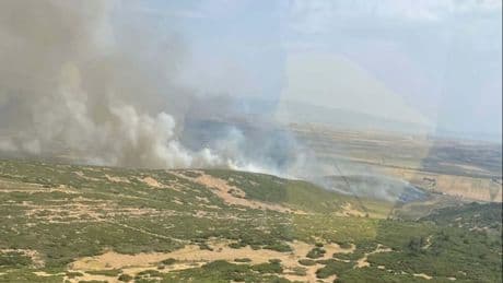 İzmir’de makilik yangını