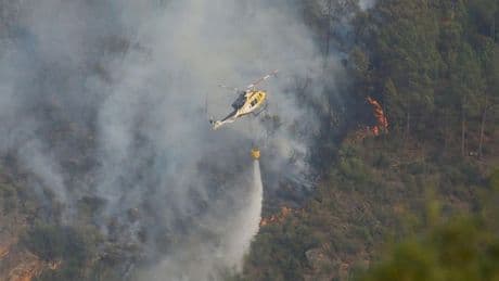 Unicaja activa una línea especial de financiación sin intereses para los afectados por la ola de incendios