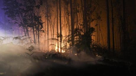 Estabilizados los tres incendios de Ponteceso (A Coruña) tras calcinar 470 hectáreas