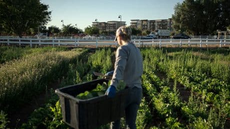 A little bit of farm, a little bit of suburbia: That's the recipe for Agritopia