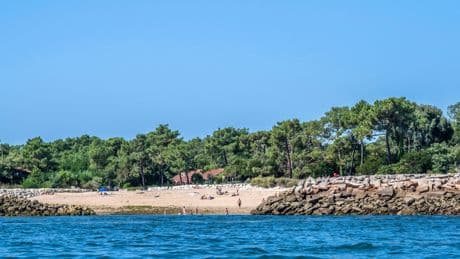 Cap Ferret : la zone d’interdiction de l’iconique plage de la Pointe va-t-elle être réduite ?