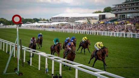 2025 Royal Ascot Free Bets & Betting Offers