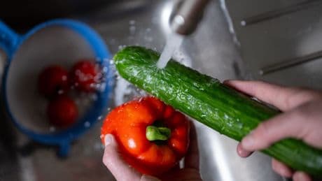 Verbraucherpreise: Preise für Paprika, Beeren und Gurken schießen in die Höhe