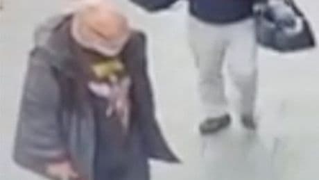 CCTV appeal launched as RSPCA receives 'distressing footage' of seagull attack