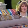 Antiques Roadshow guests make show history with medal collection worth more than a HOUSE - gasping 'I need a stiff cup of coffee' after life-changing valuation