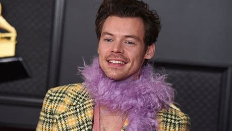 Harry Styles Just Announced A Sex Toy Line, And At This Point, Sure