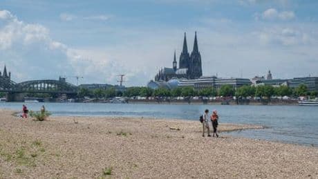Klimakrise: Rhein könnte laut Studie bis 2100 bis zu 4,2 Grad wärmer werden