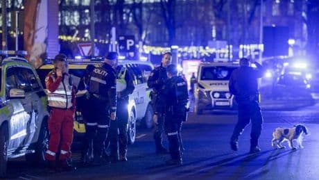 Cinco heridos tras un atropello múltiple en Copenhague provocado por un anciano