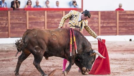 Juan Ortega, a hombros, lo borda en Colmenar Viejo