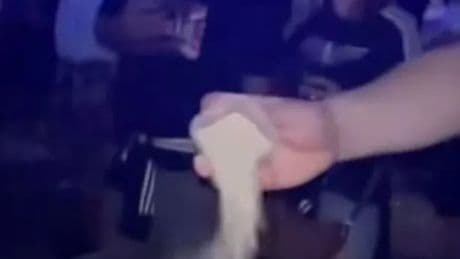Touching moment Edinburgh Oasis fan scatters best pal's ashes at Murrayfield gig