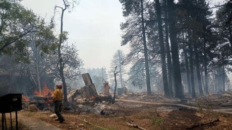 Historic Grand Canyon lodge destroyed as wildfires force evacuations in northern Arizona