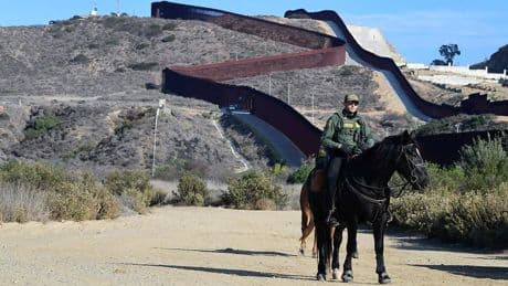Border Patrol union chief blasts anti-masking proposal: 'Tone deaf politics'