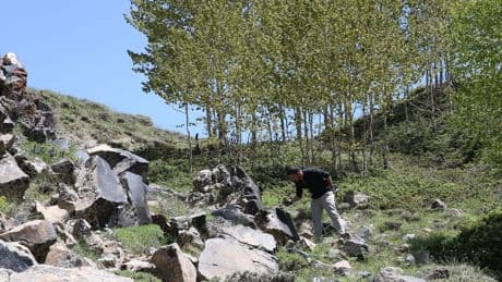 Binlerce yıl önce Bitlis'ten götürüldü; şimdi peşine düştüler