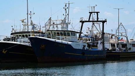 « Les gouvernements utilisent l’argent des contribuables pour soutenir le chalutage de fond, une pêche en faillite et destructrice »