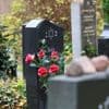 Jüdischer Friedhof Potsdam: Nicht koscher genug für Orthodoxe?