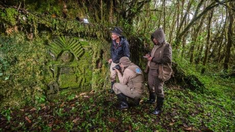 Archäologie: Über 100 Ruinen der Chachapoya-Kultur in Peru entdeckt
