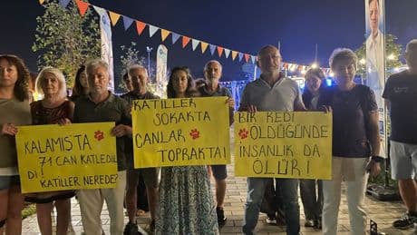 Kalamış’ta hayvan katliamının 1. yılı: “Katiller hâlâ sokaklarda”