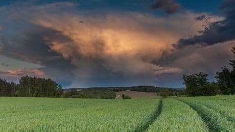 Wetter: Sachsen, Sachsen-Anhalt, Thüringen, Berlin - Deutscher Wetterdienst warnt