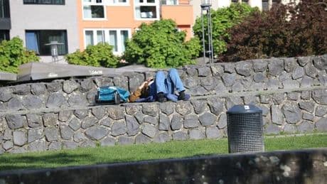 Frühlingswetter: Sonnenschein zum Ende der Woche