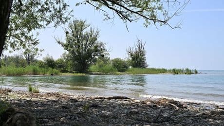 Nacktbaden: Neuer FKK-Strand am Bodensee geplant