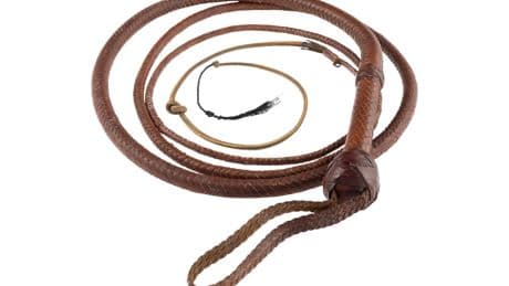 Indiana Jones whip snaps up $525,000 at auction after 'Citizen Kane' sled goes for $14.75 million