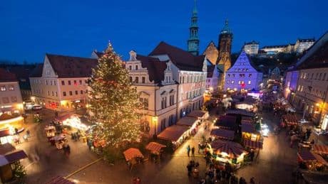Weihnachten: Bäume für Weihnachtsmärkte in Dresden und Pirna gesucht