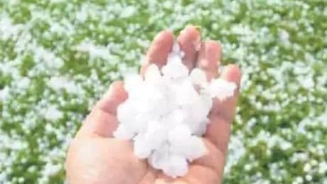 SON DAKİKA! Meteoroloji uyarmıştı! Bir anda her taraf beyaza büründü! Ekinler zarar gördü