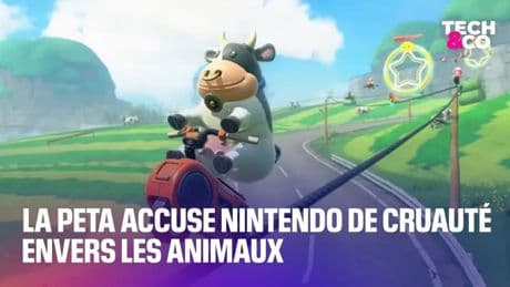 Une association accuse Nintendo de cruauté envers les animaux