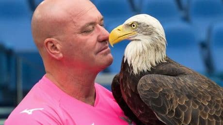 Lazio falconer who was sacked for posting penis implant photos online evicted by club