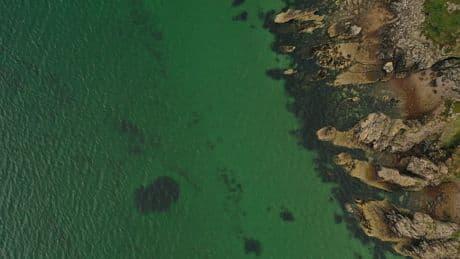 Marine conservation group claims damage to seabeds is a ‘national scandal’