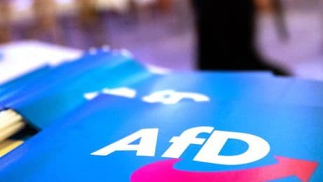 „Das ist keine seriöse Arbeit – das nähert sich einem Fall für die Psychiatrie“