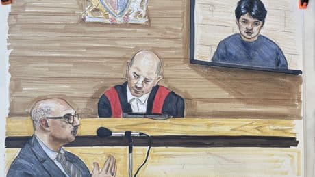 Fitness hearing for Lapu Lapu Day attack suspect hears from 2 psychiatrists