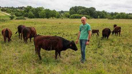 Agriculture biologique : les surfaces cultivées ont reculé en 2024