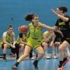 Basket-ball. Les équipes de Loire-Atlantique en Nationale connaissent leurs poules
