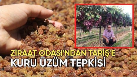 Ziraat Odası'ndan TARİŞ'e kuru üzüm fiyatı tepkisi: "Bu fiyat kabul edilemez"