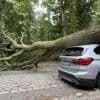 Wie schlimm wird es diesmal?: Das nächste Unwetter rollt auf Berlin zu