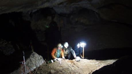 Scientists pinpoint when humans started to use tools made from whale bone